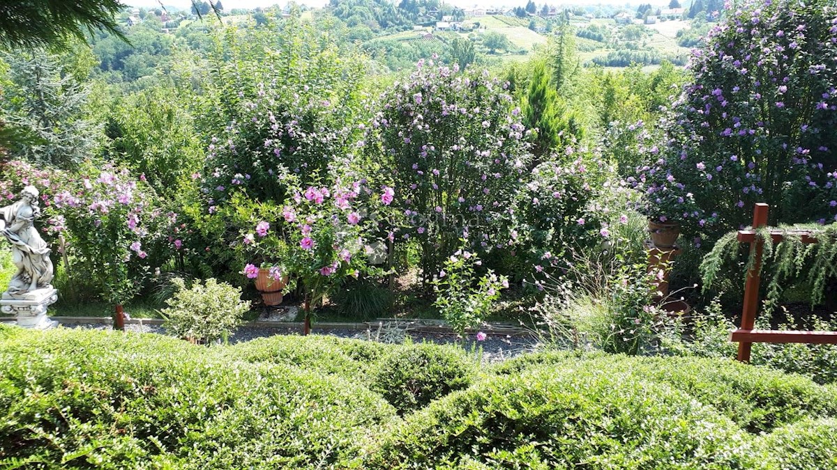 TURČIN
