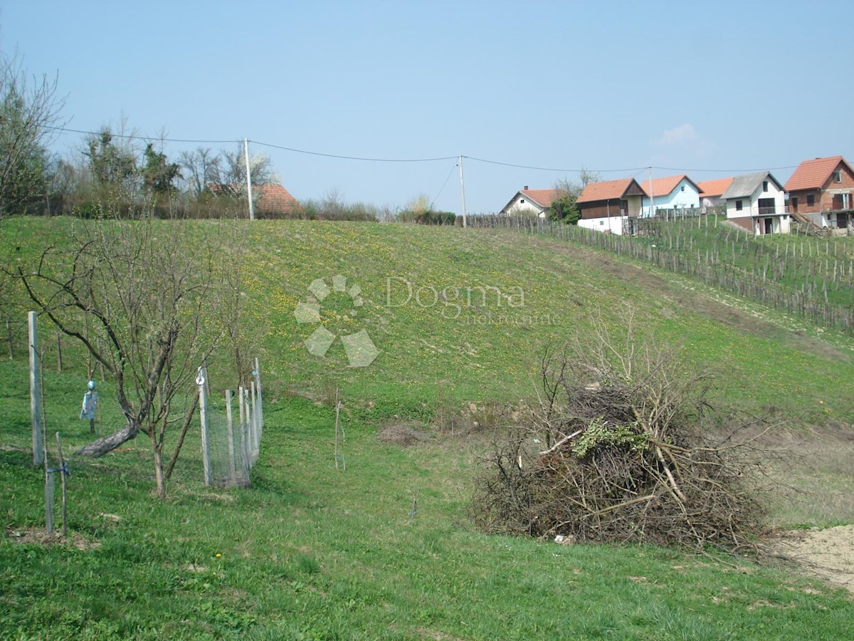VARAŽDIN BREG