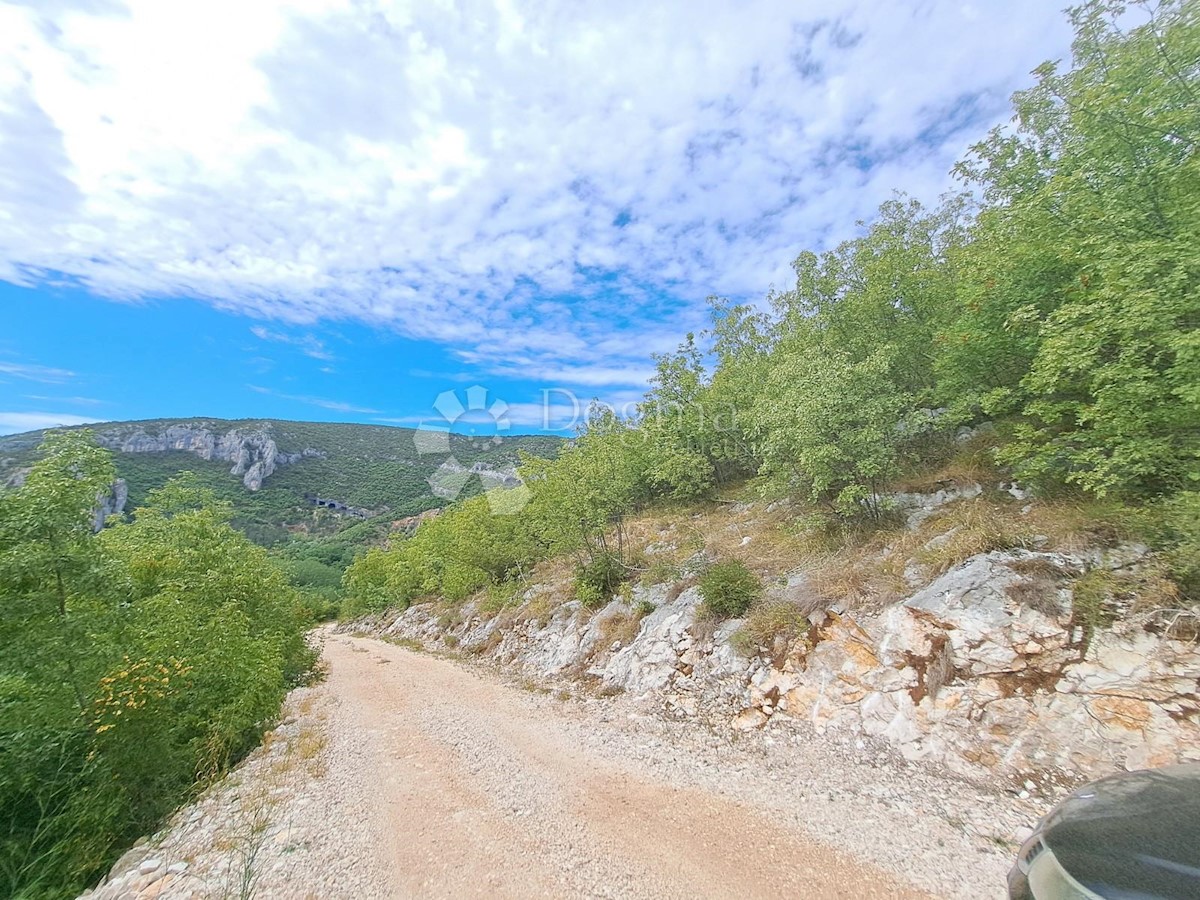 SOVINJAK