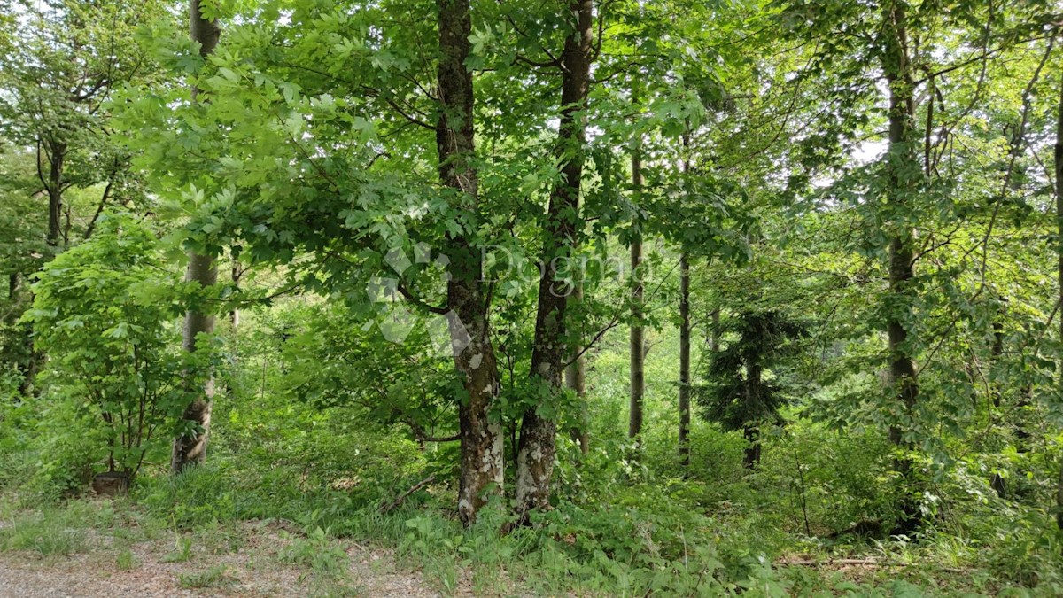 FUŽINE