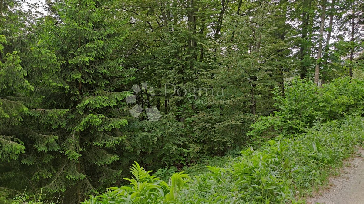 FUŽINE