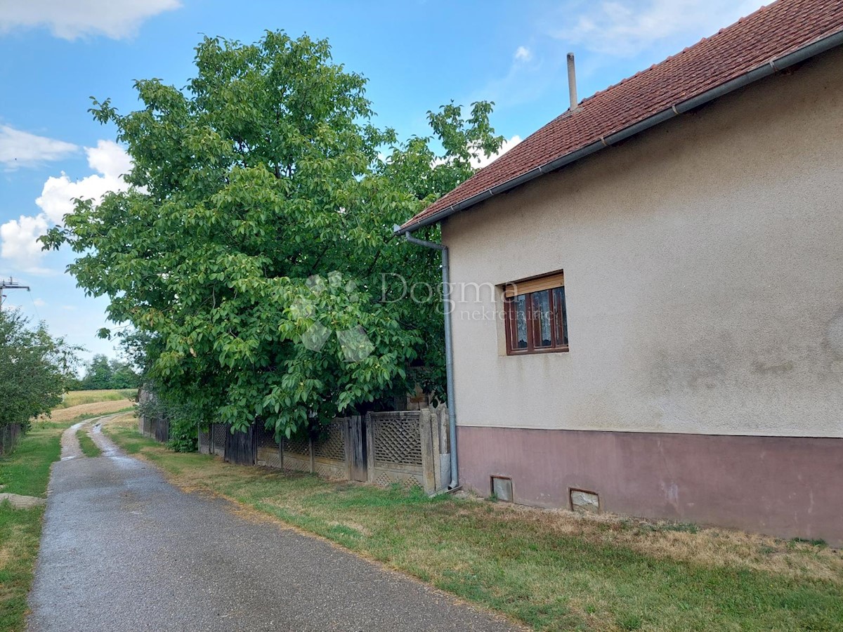 SELNIK