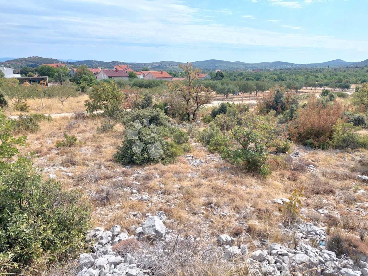 POLAČA