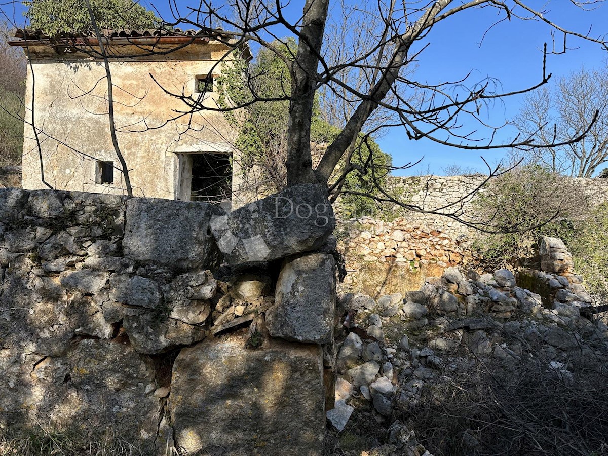 PLOMIN