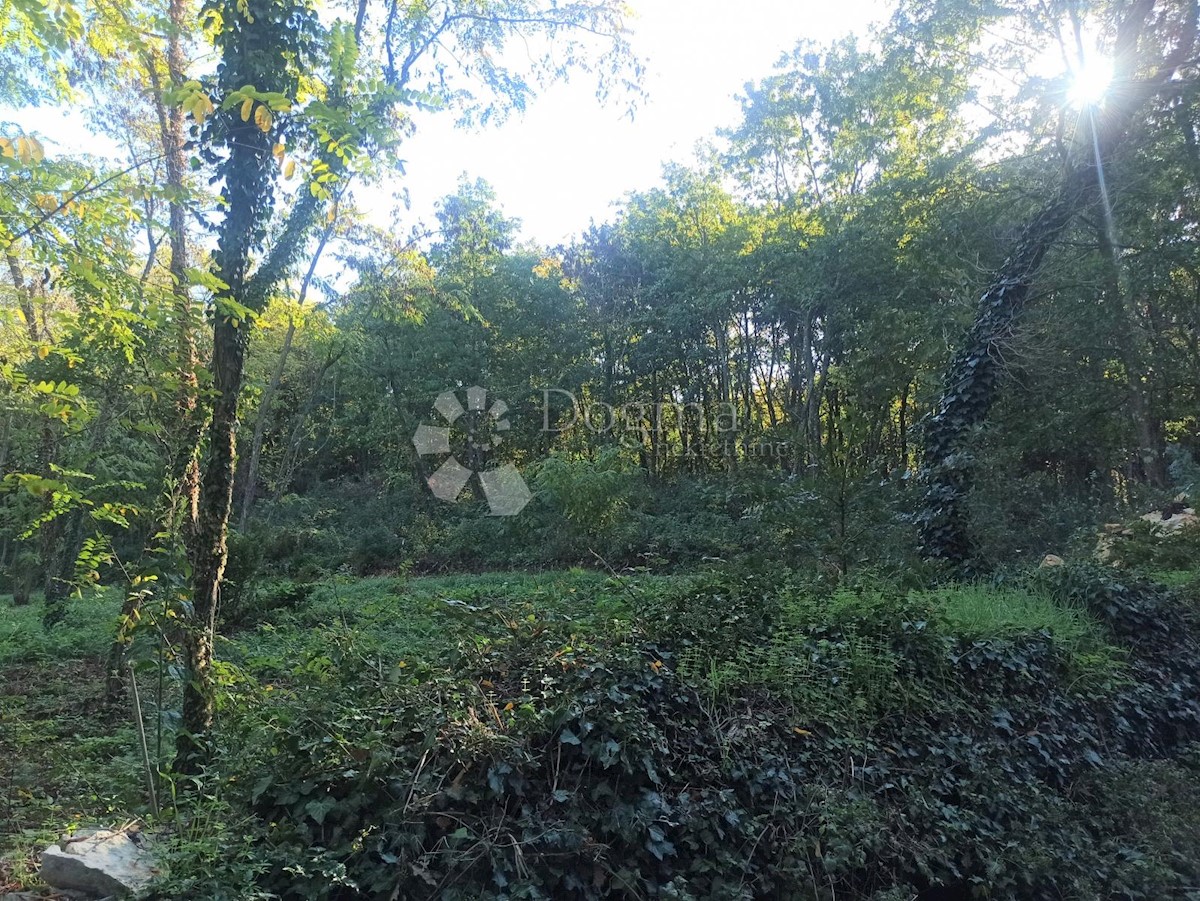 ŽMINJ