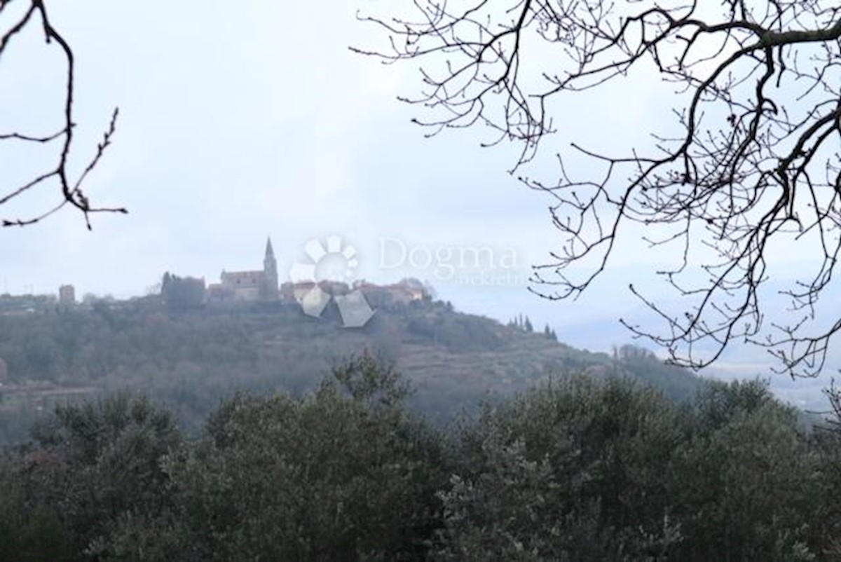 MARTINČIĆI