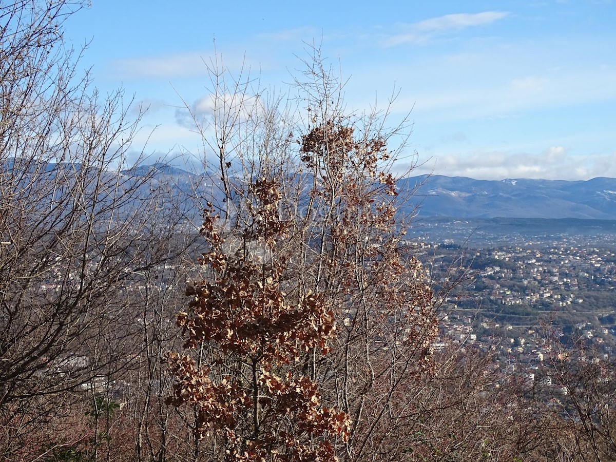 BREGI