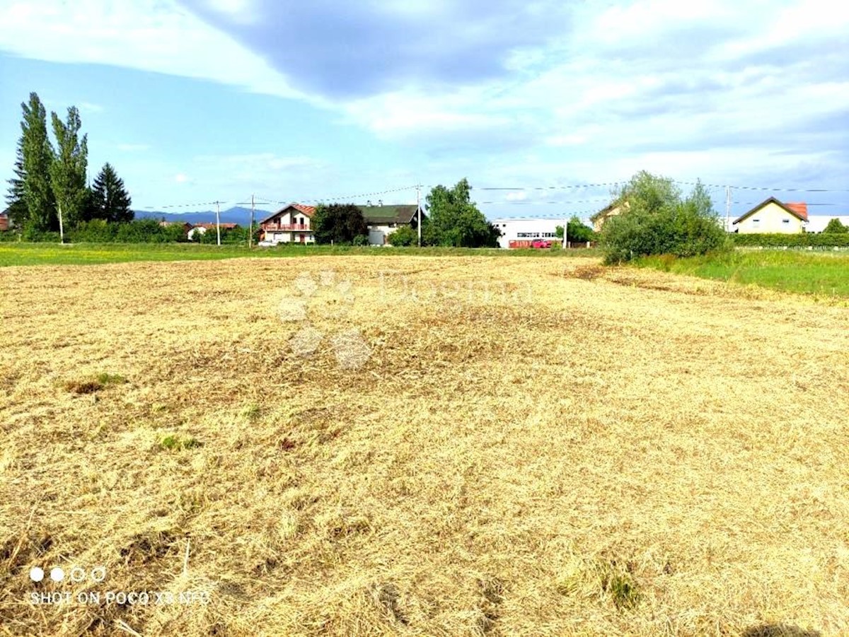 BREZJE