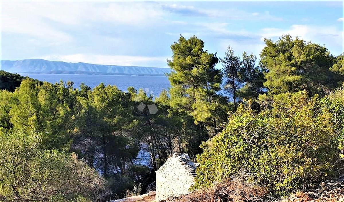 VELA LUKA
