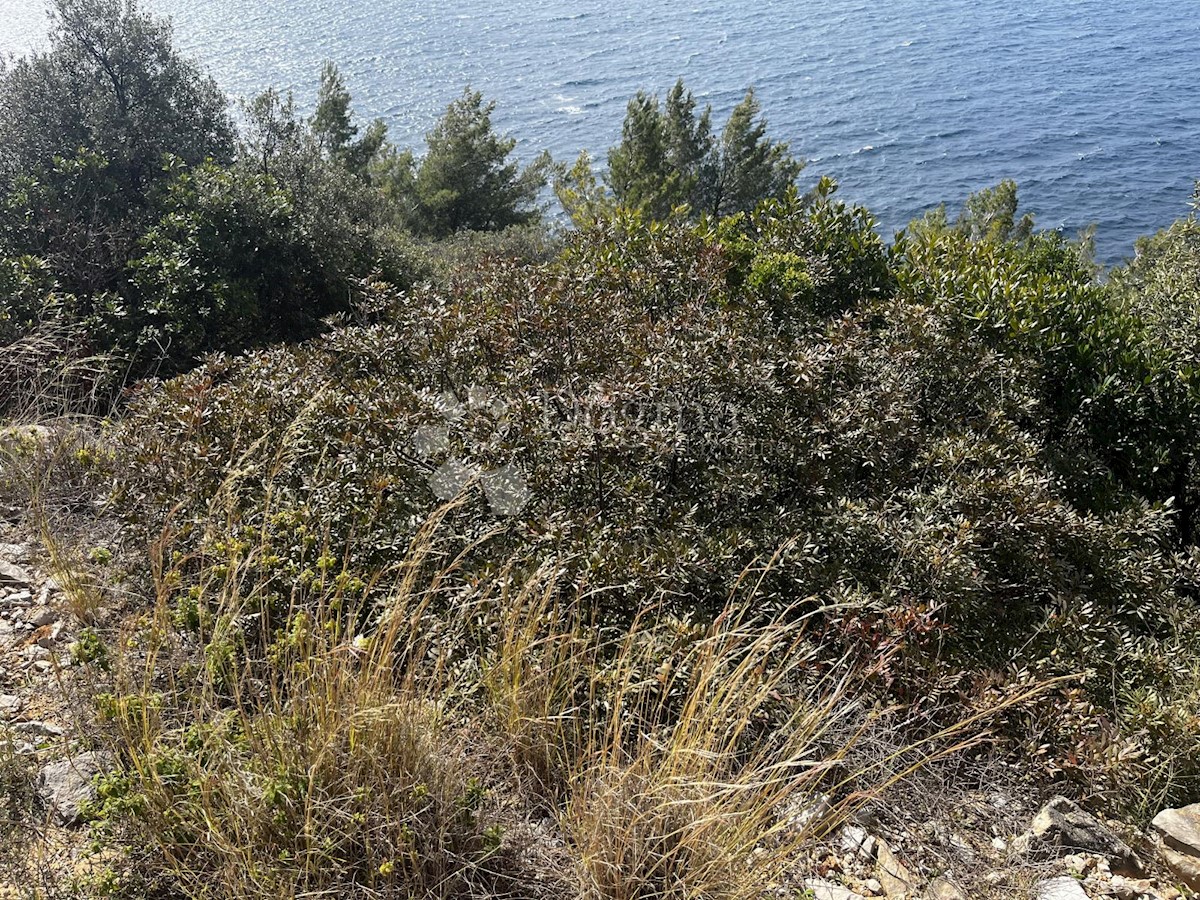 VELA LUKA