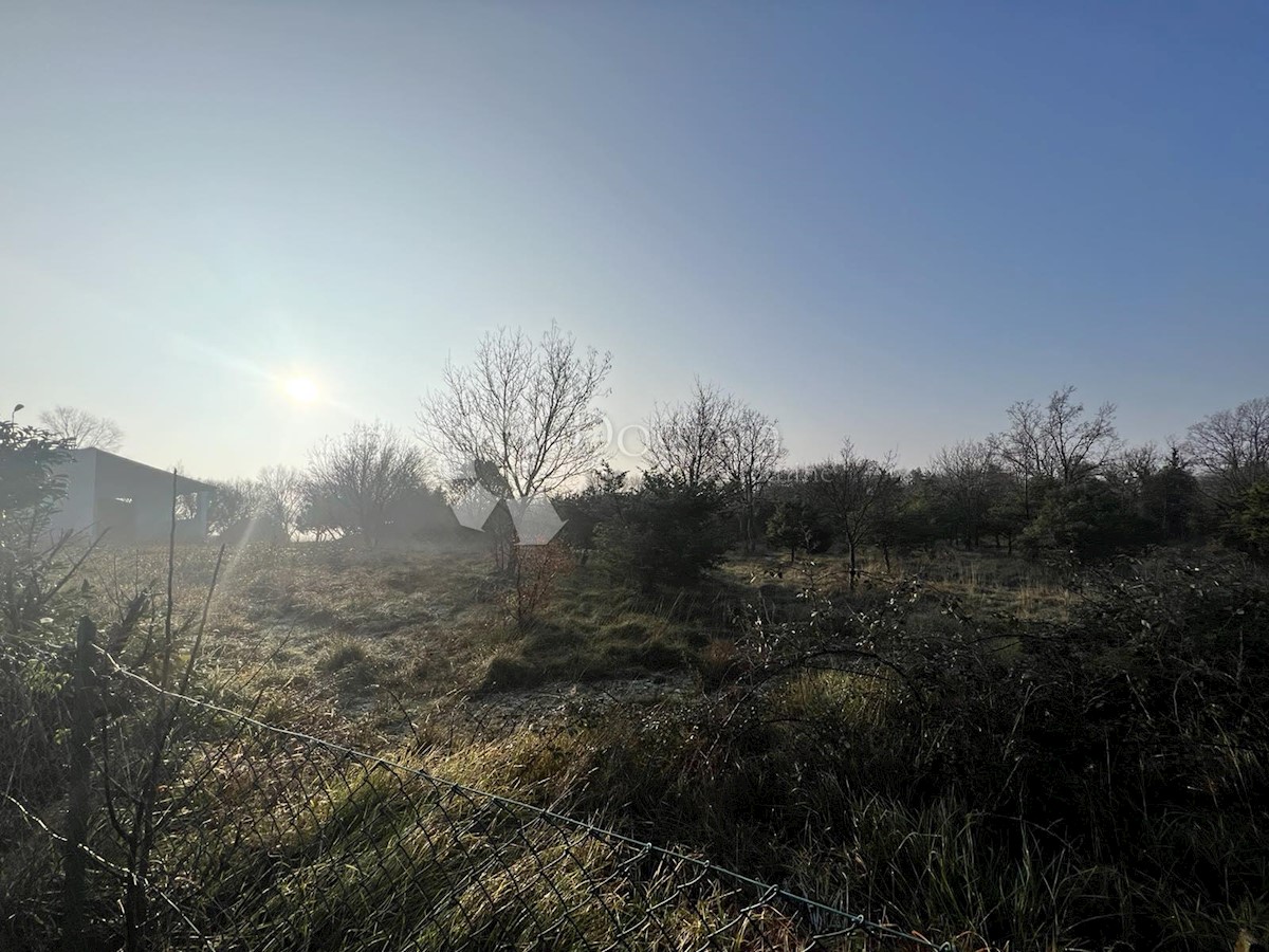 BARBAN