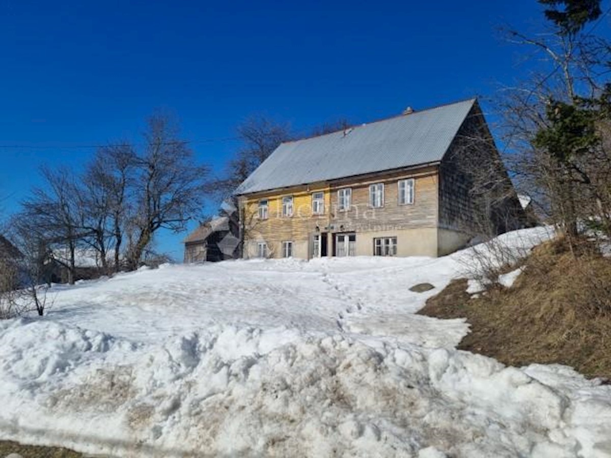RAVNA GORA