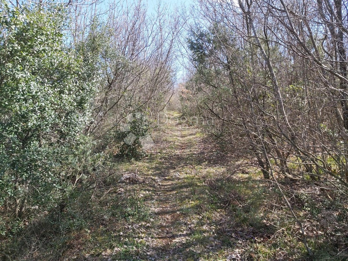 KRNICA