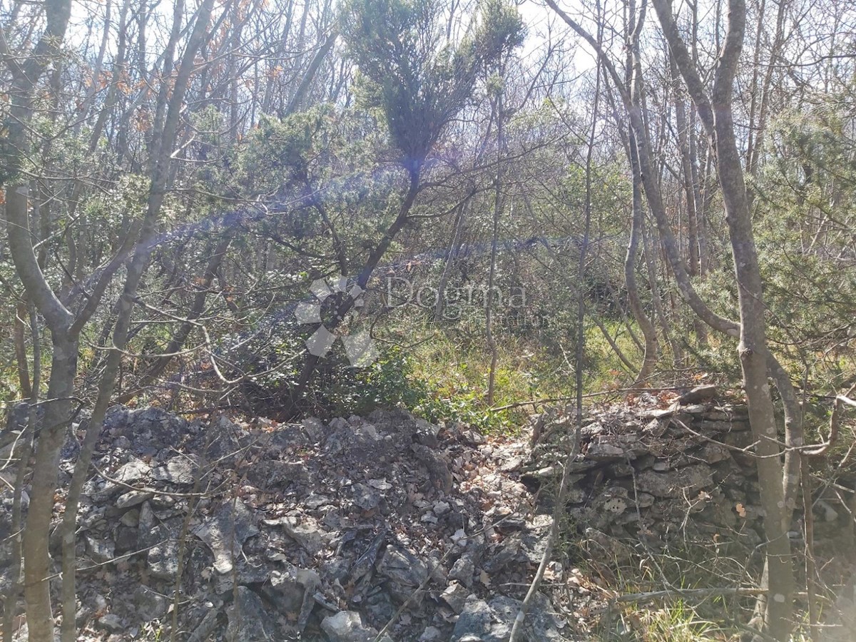 KRNICA
