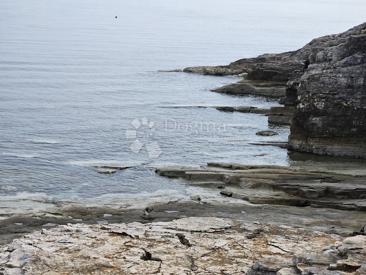 PERUŠKI