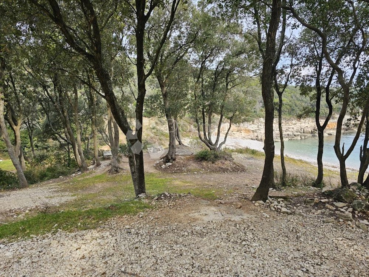 PERUŠKI