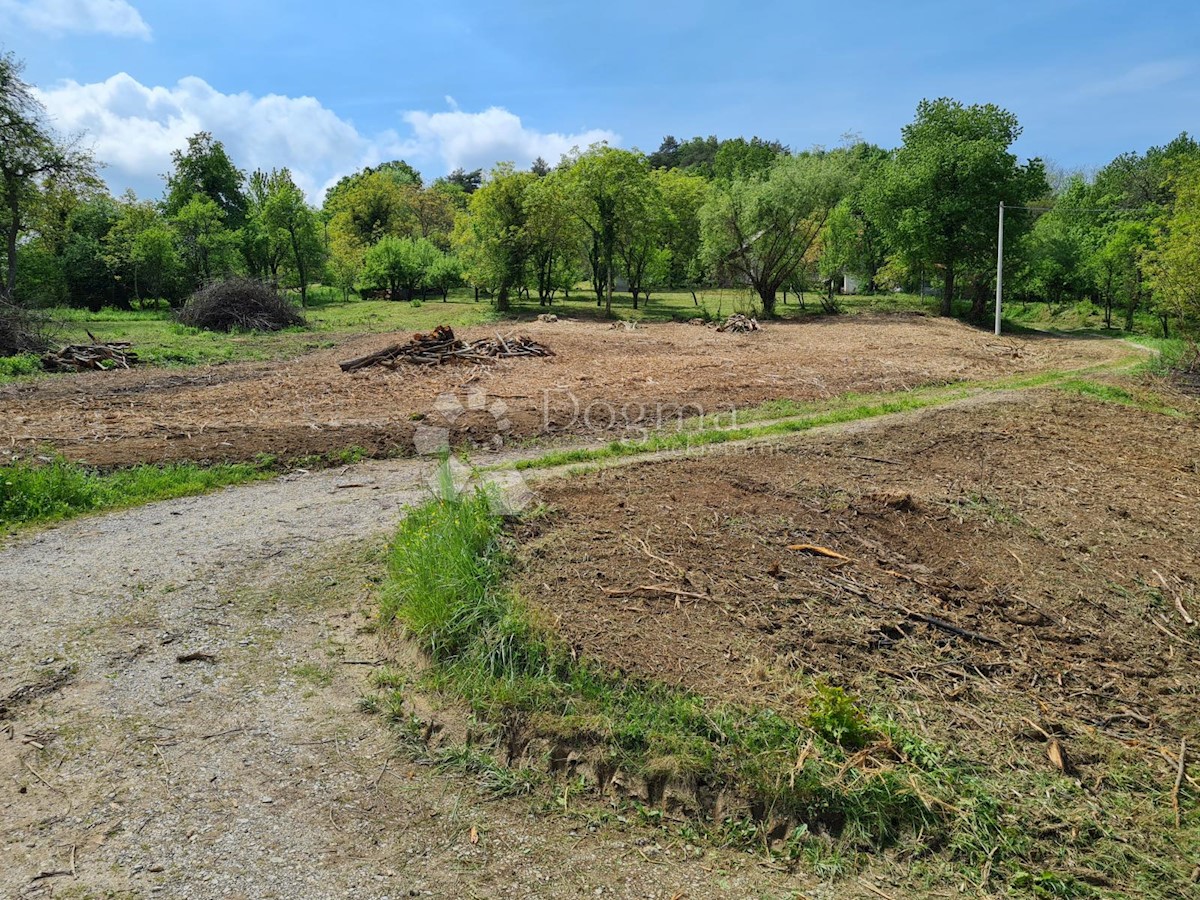 DONJA STUBICA