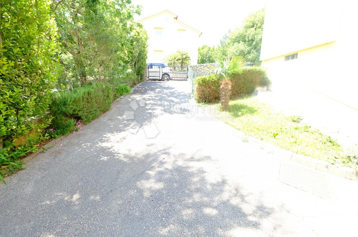 ČIŽIĆI