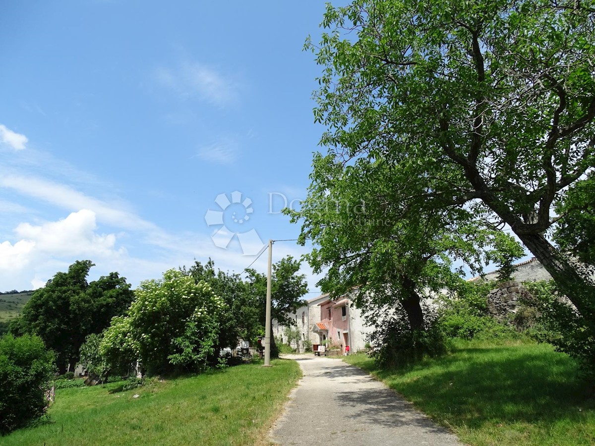 ROČ