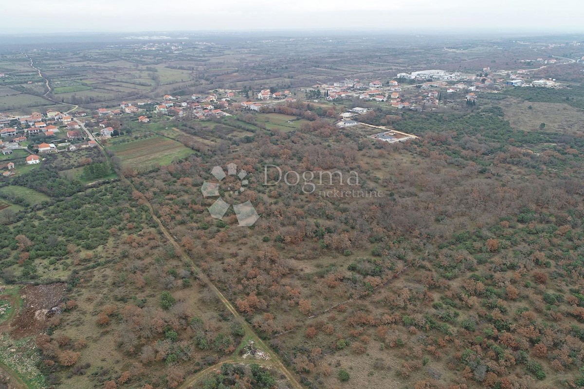 BRIŠEVO