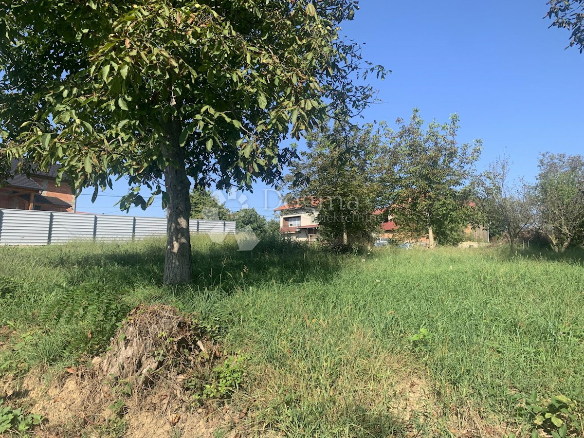 LOPATINEC