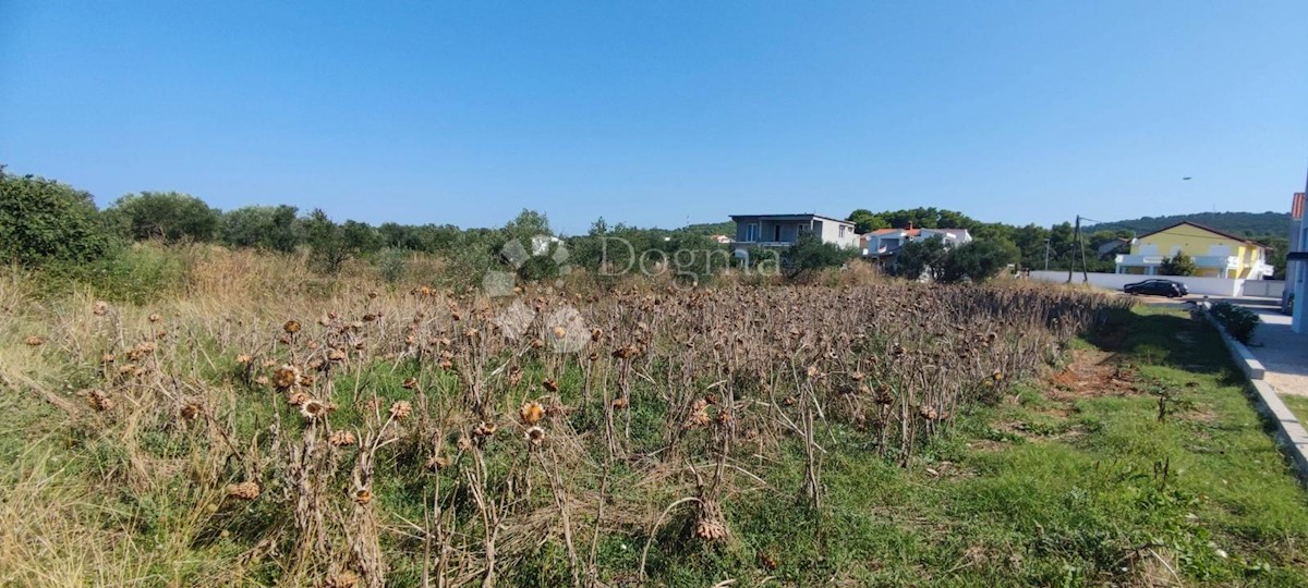 BIBINJE
