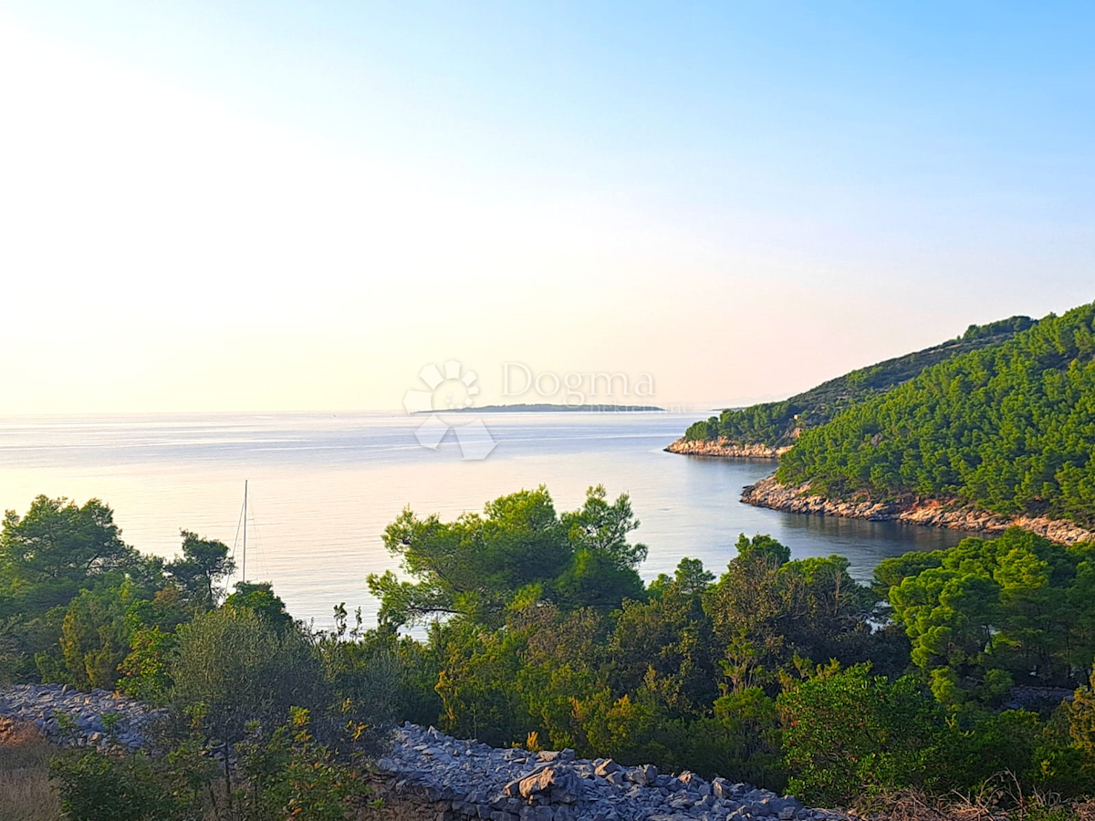 VELA LUKA