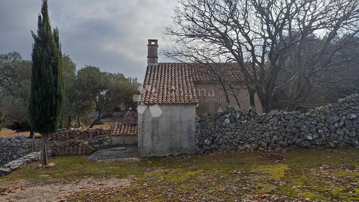 PUNTA KRIŽA