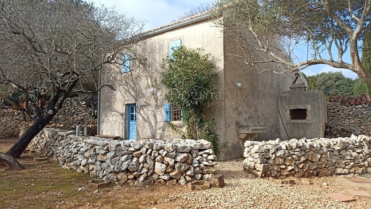 PUNTA KRIŽA