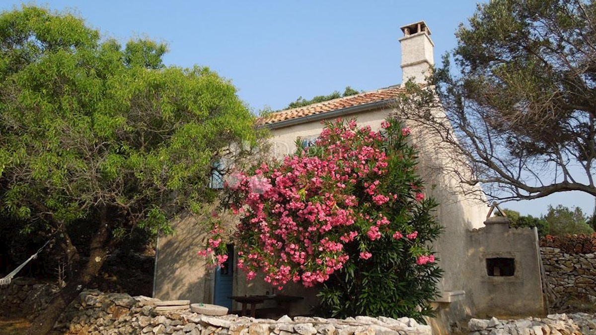 PUNTA KRIŽA