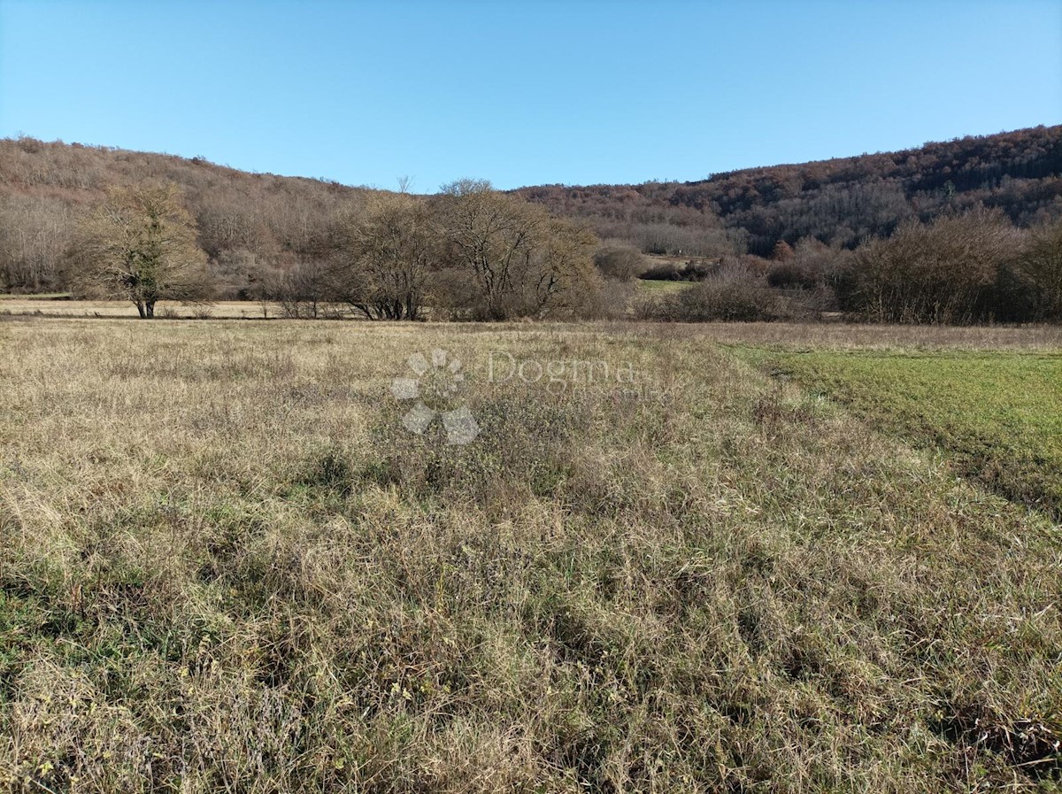 KANFANAR