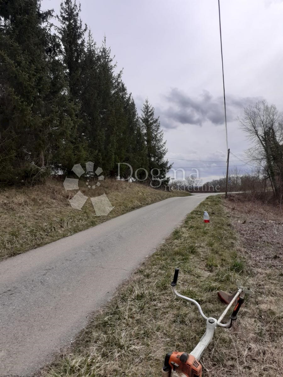 PLUSKA