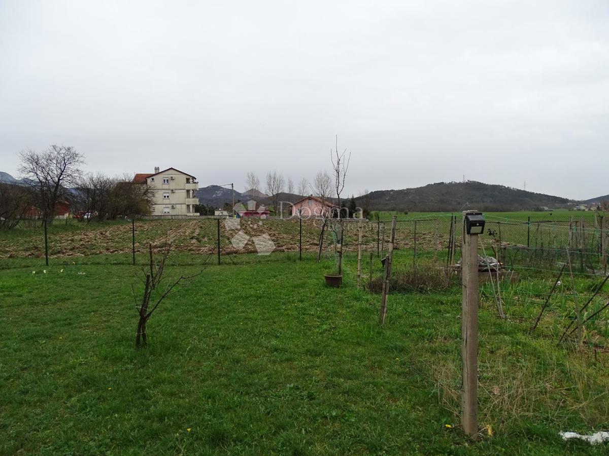DRAŽICE