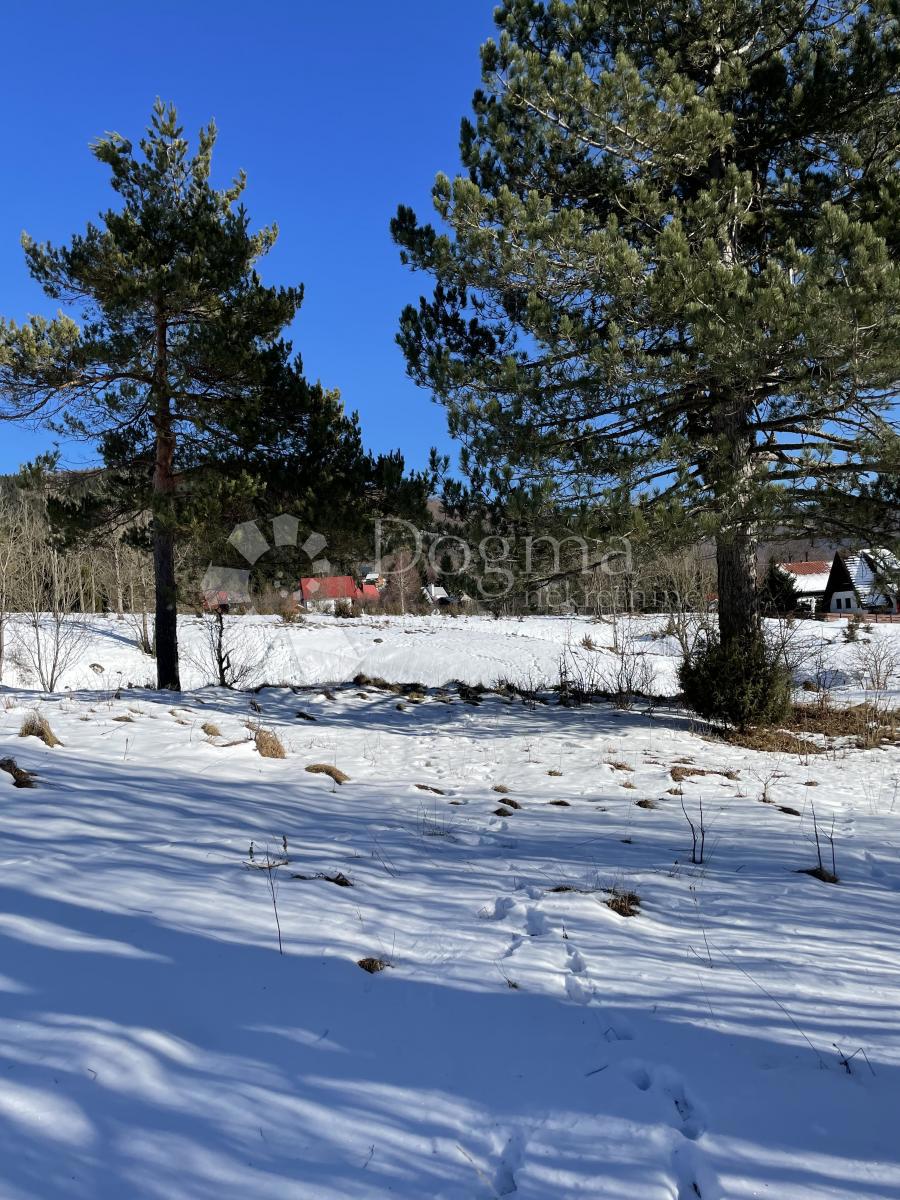 MRKOPALJ