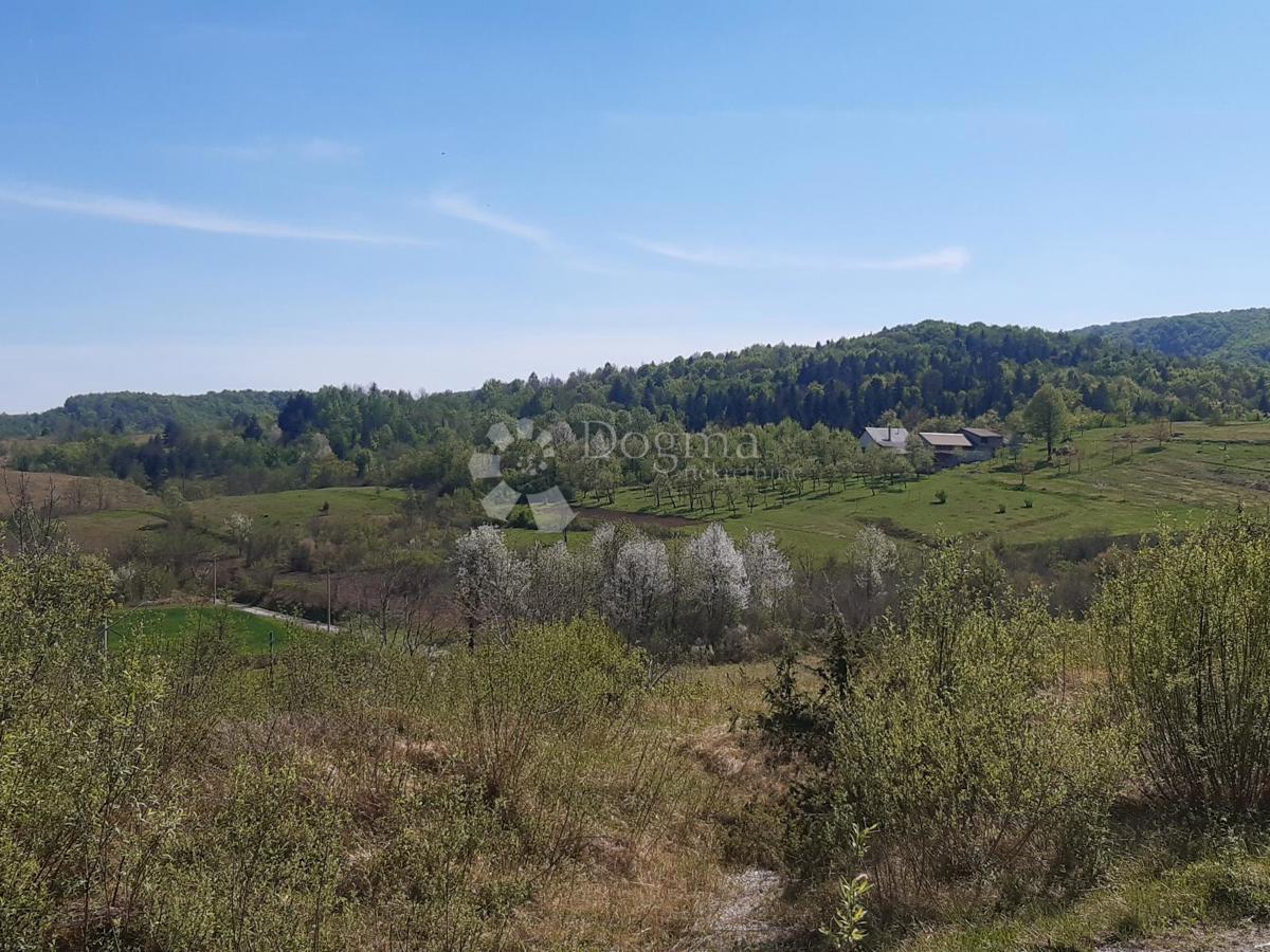 KUNIĆ