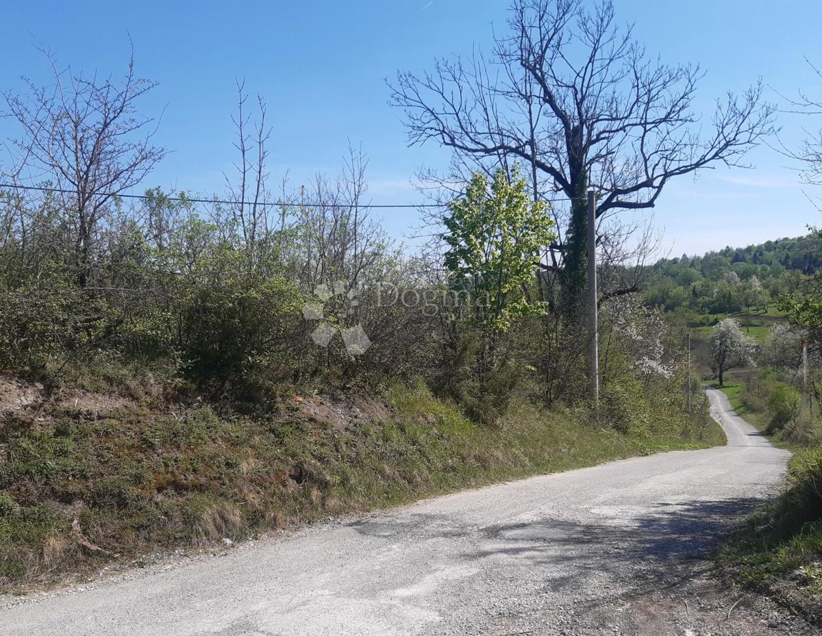 KUNIĆ