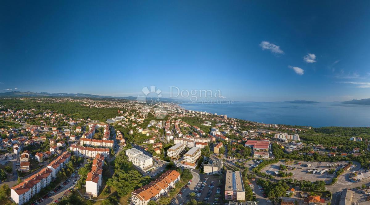 SRDOČI