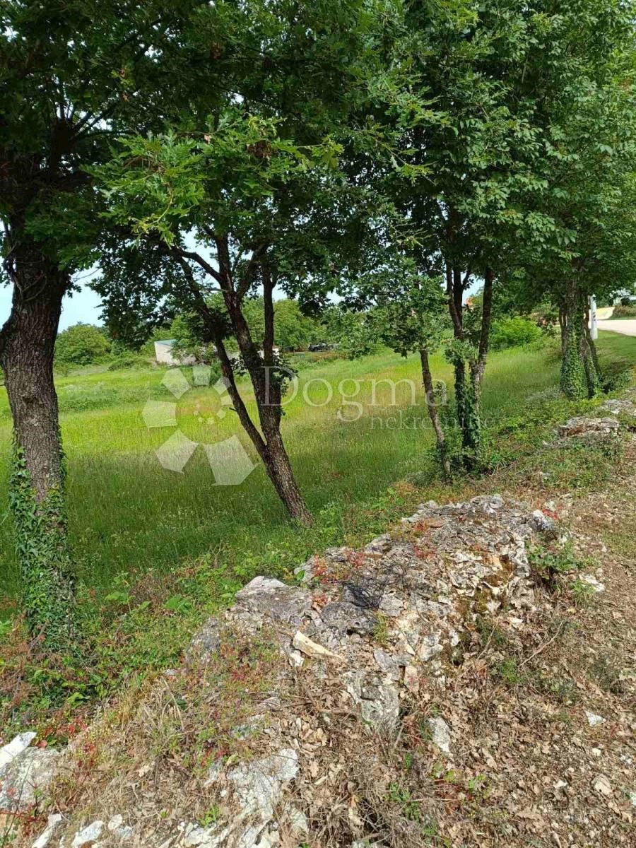 BOKORDIĆI