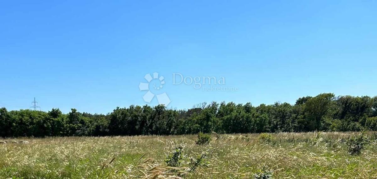MARČANA