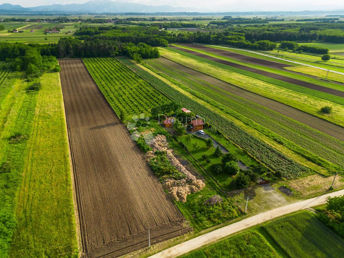 MAJERJE