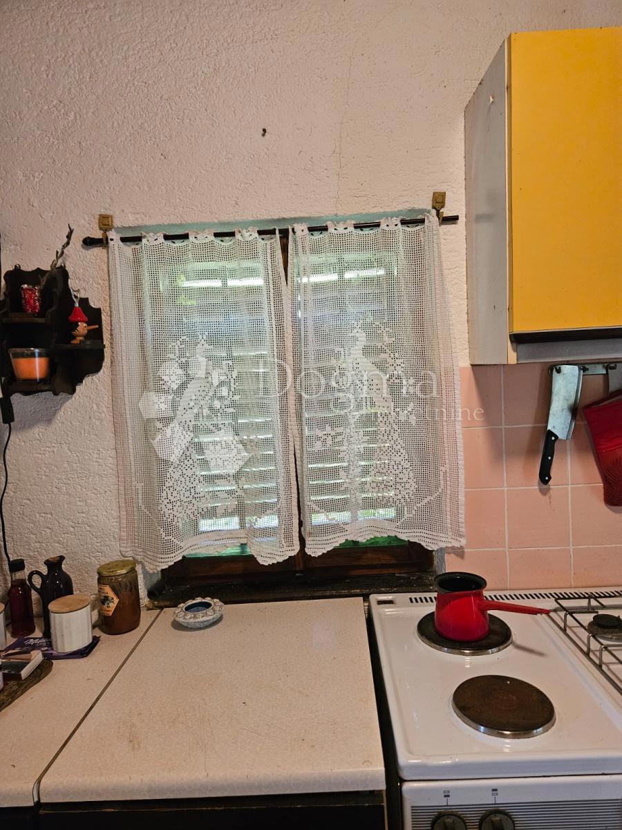 VINOGRADI LUDBREŠKI
