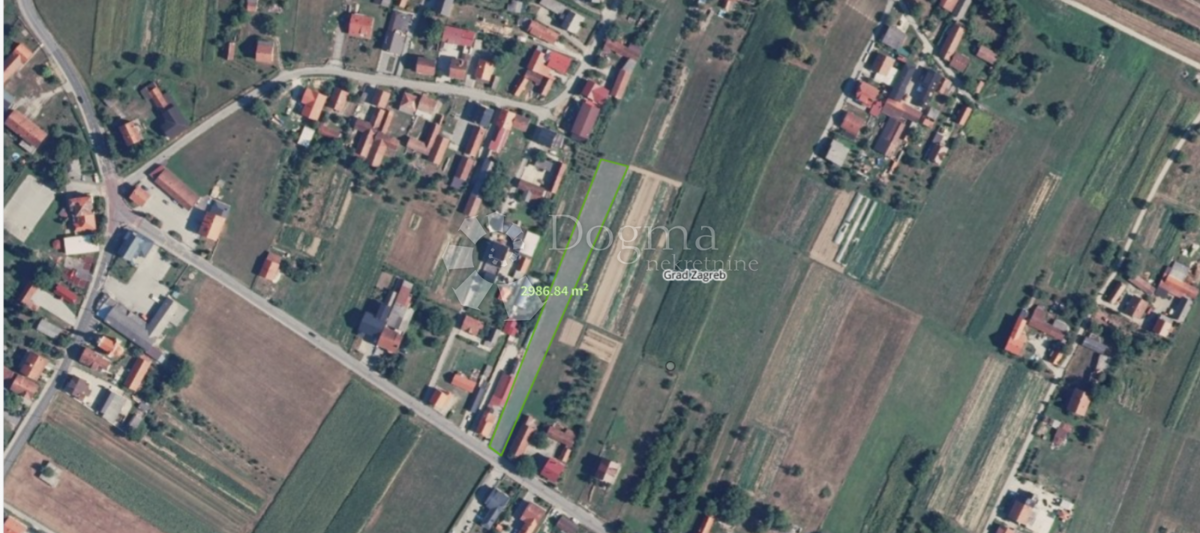 GOLI BREG