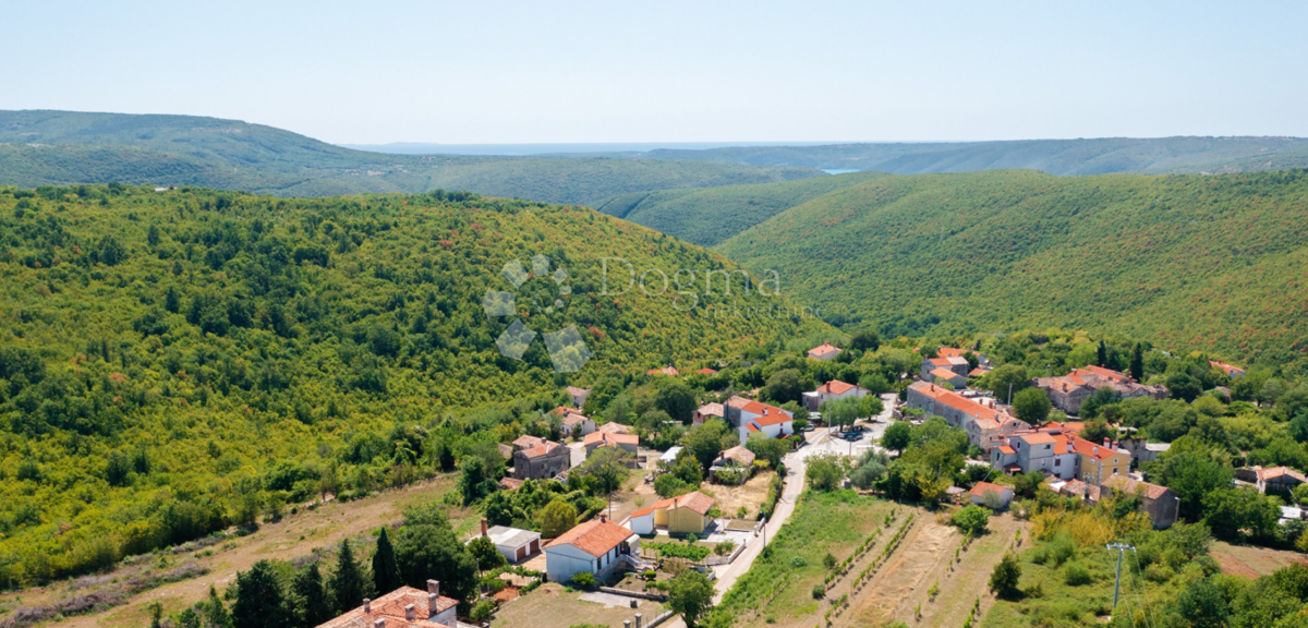 SNAŠIĆI