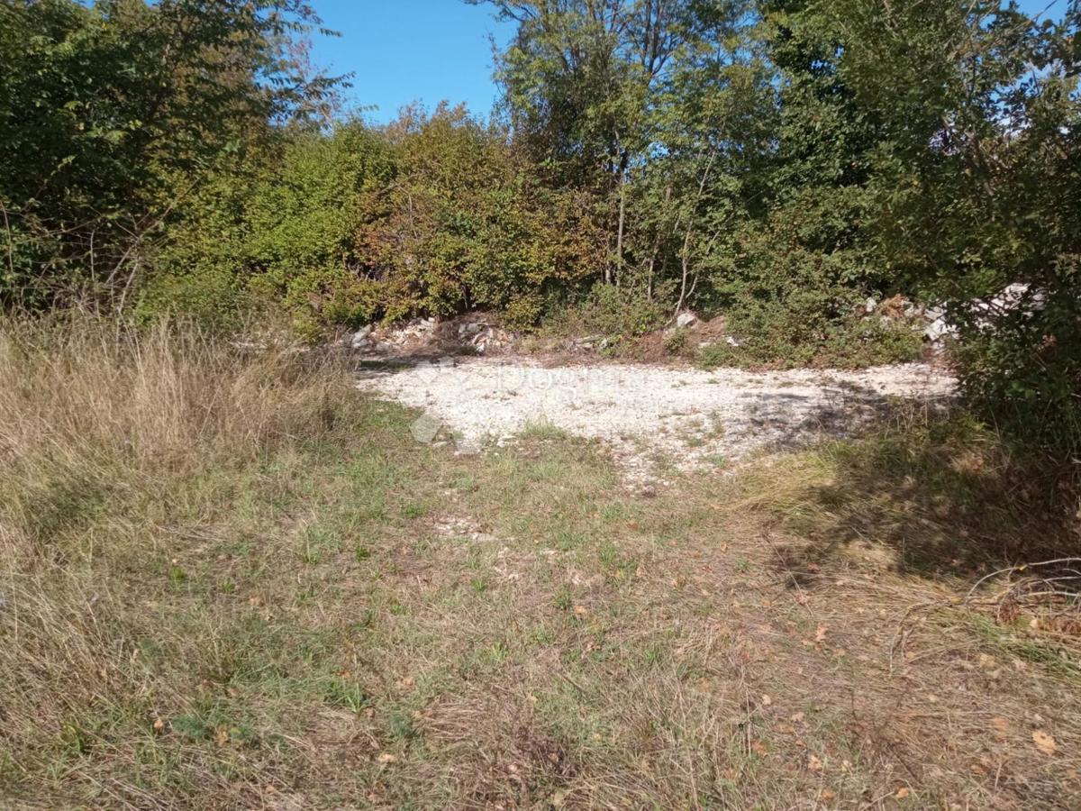 ČERVARI