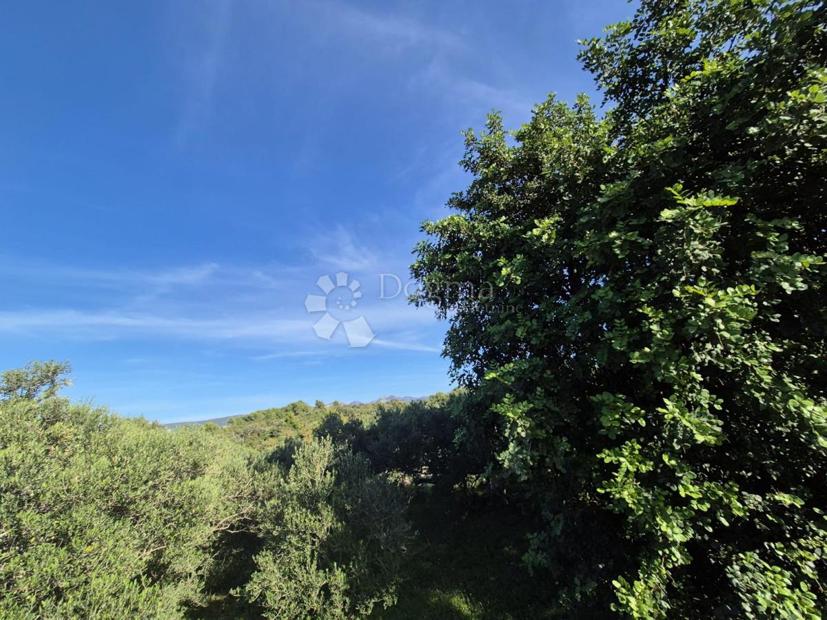 RAČIŠĆE