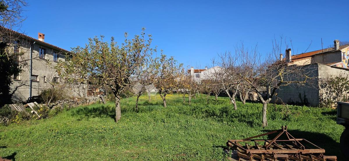 VODNJAN