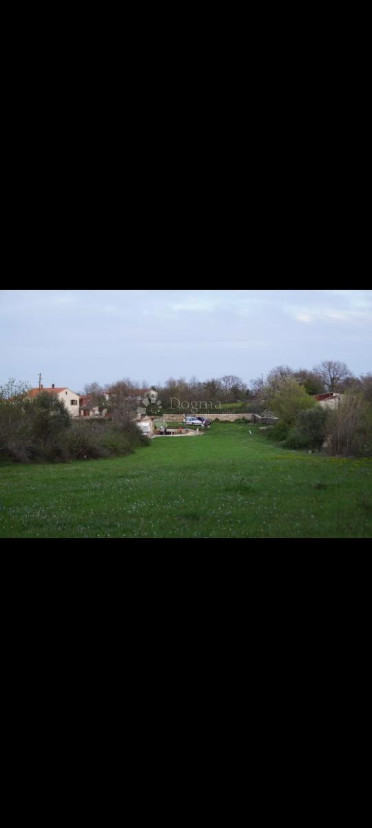 RAKALJ