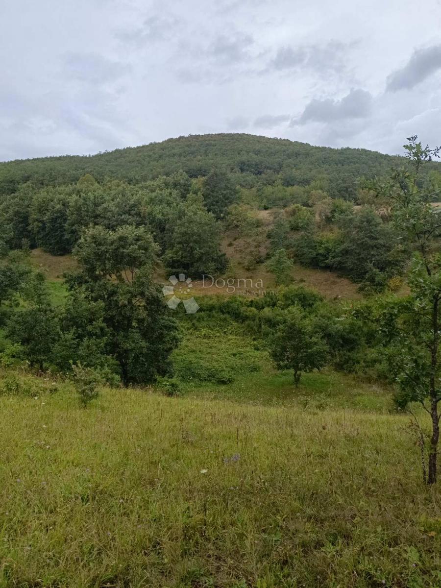 DOLJANI