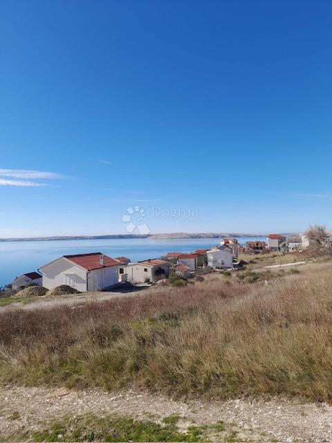 RTINA