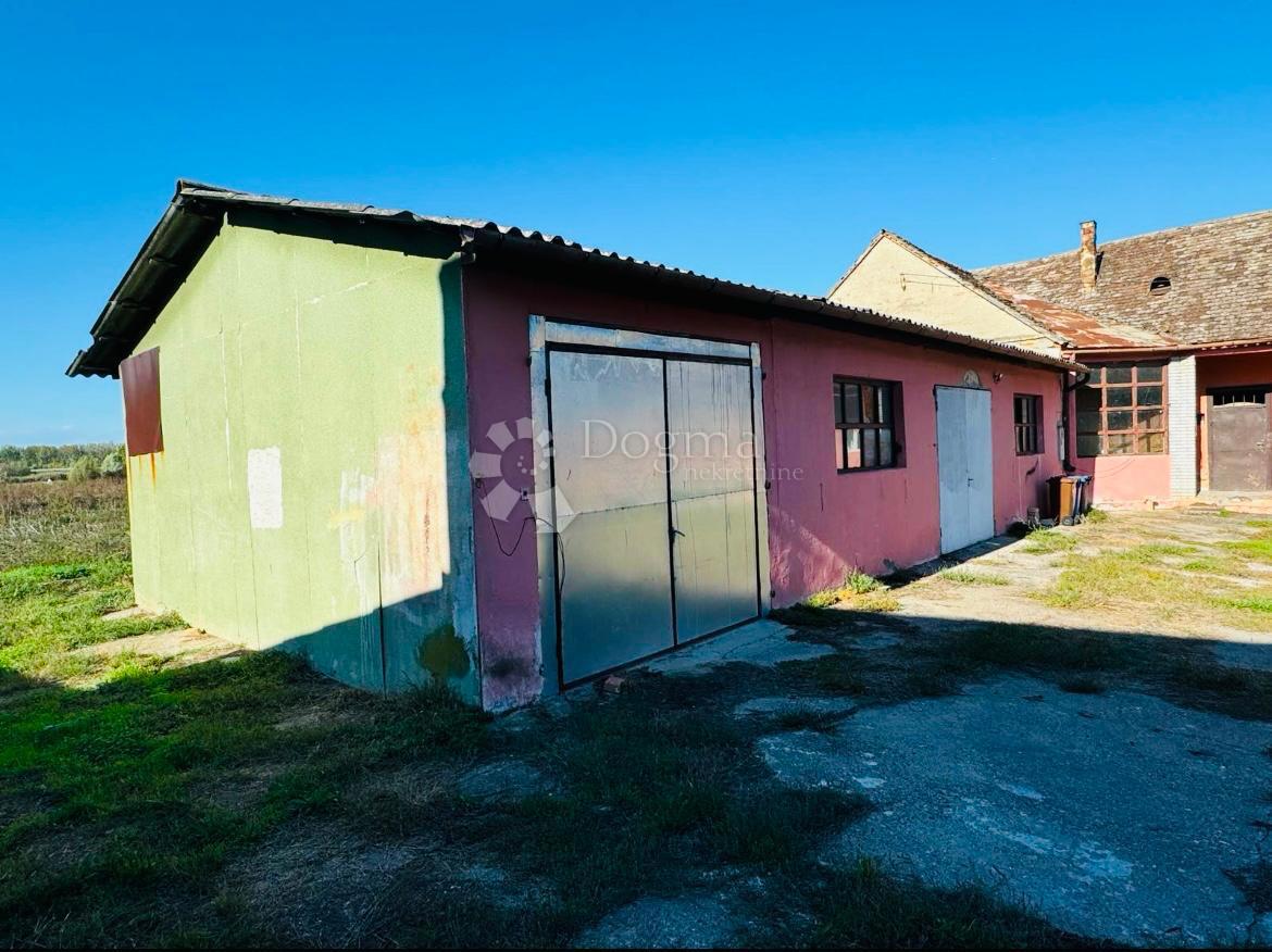 BELI MANASTIR